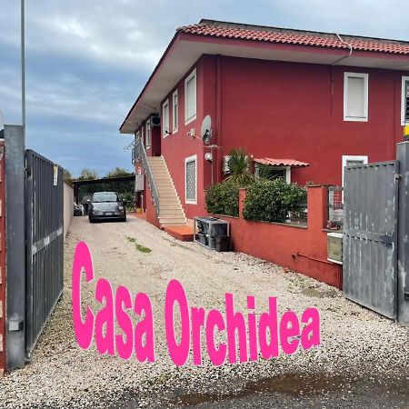 Апартаменти Casa Orchidea Ф'юмічіно Екстер'єр фото